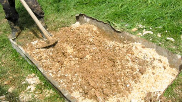 обработка опилок перед внесением в почву