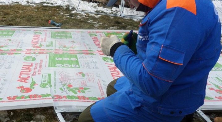 kakoj polikarbonat luchshe vybrat dlya teplicy 24