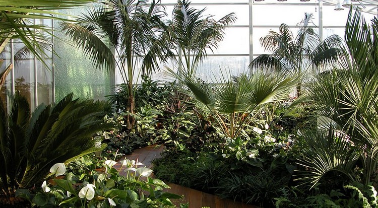 Стили оформления зимнего сада: тропические и другие виды растений