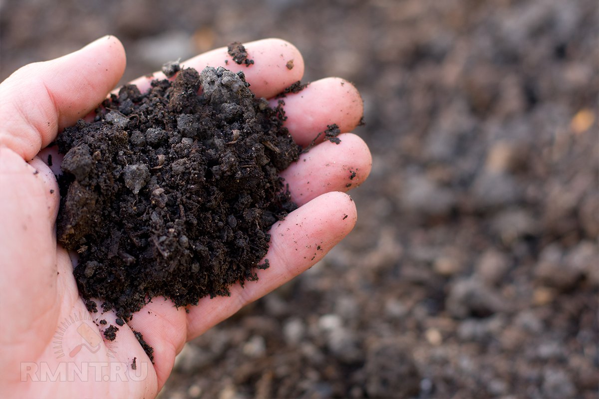 Как улучшить структуру почвы и повысить её плодородие