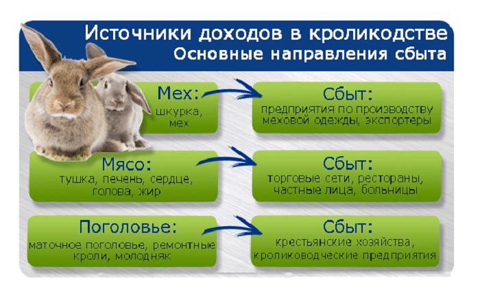Схема доходов и сбыта в кролиководстве