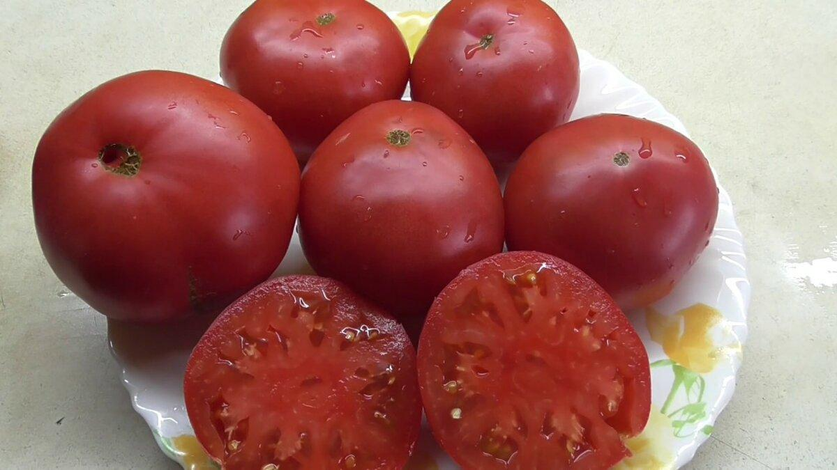 Сорт томатов Чудо Земли